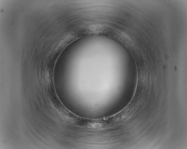 X0000067490220200604071212