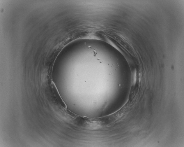 X0000067490221200604071212