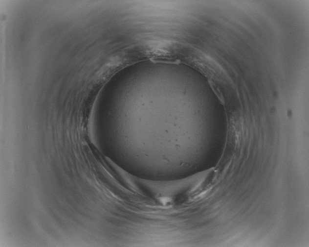 X0000067490223200604071212