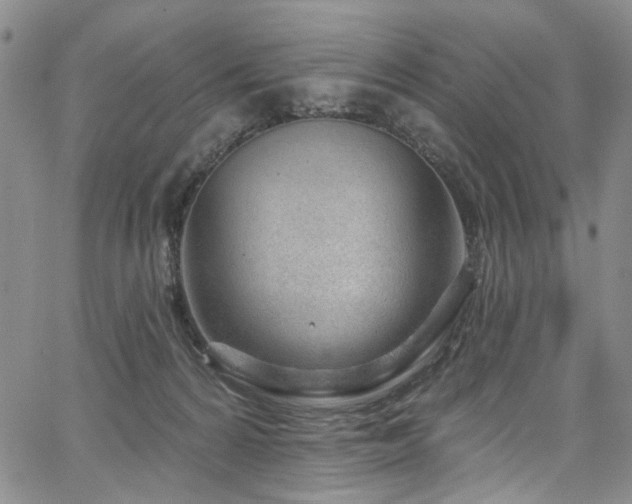 X0000067490224200604071212