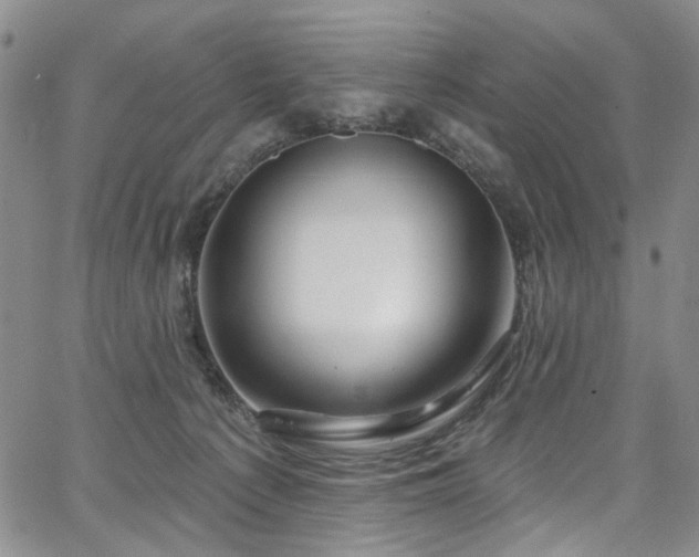 X0000067490225200604071212