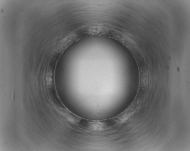 X0000067490226200604071212