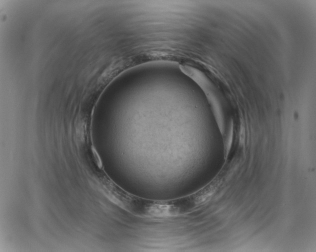 X0000067490227200604071212