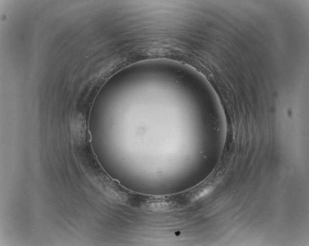 X0000067490228200604071212