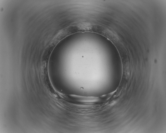 X0000067490229200604071212