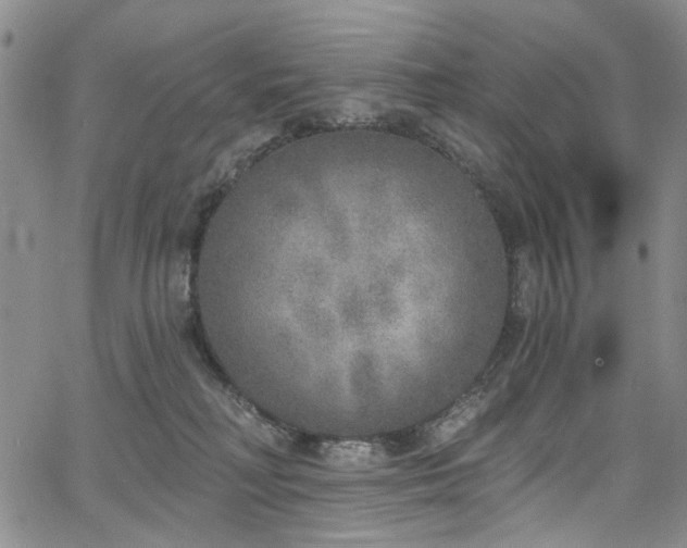 X0000067490230200604071212