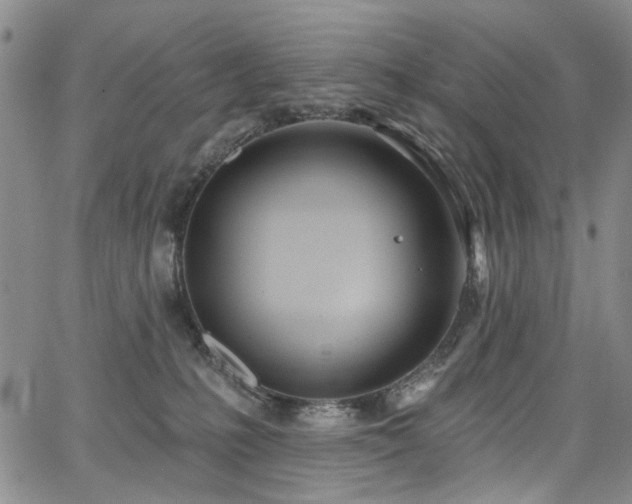 X0000067490231200604071212