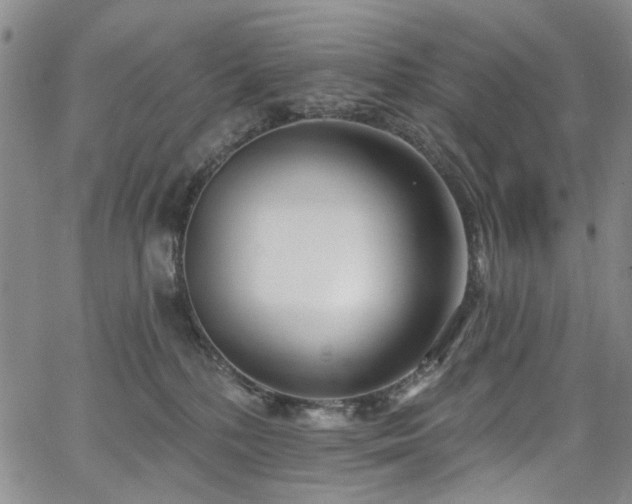 X0000067490232200604071212