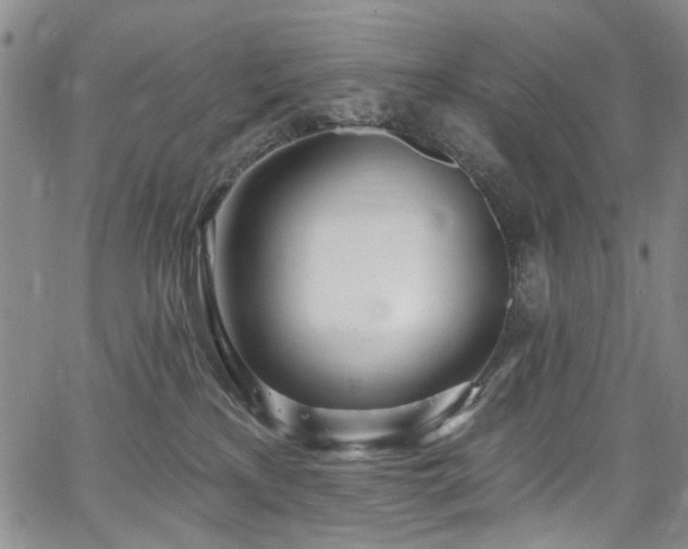 X0000067490233200604071212