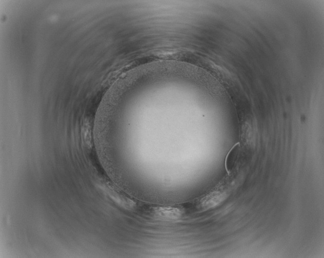 X0000067490234200604071212