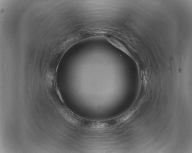 X0000067490235200604071212