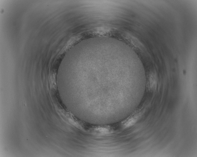 X0000067490236200604071212