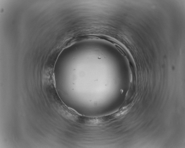 X0000067490237200604071212