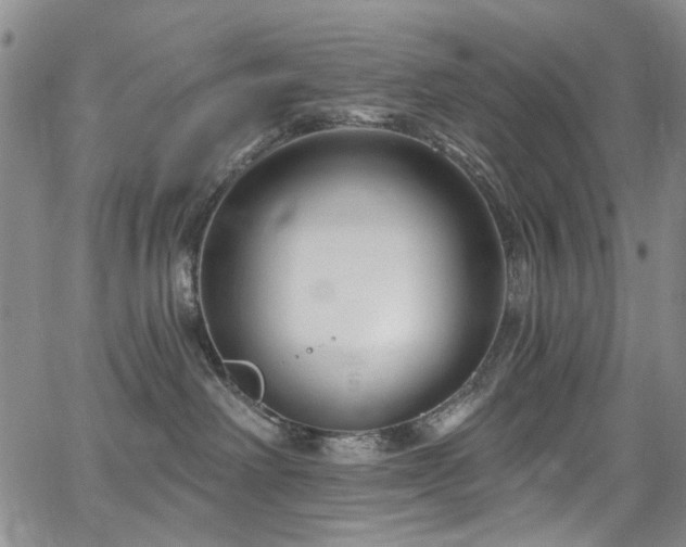 X0000067490238200604071212