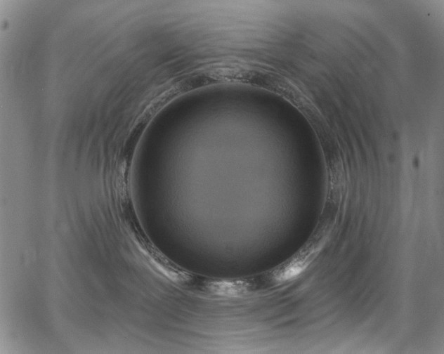 X0000067490239200604071212