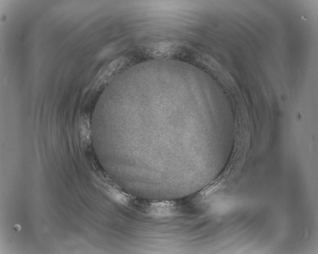 X0000067490240200604071212