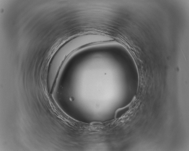 X0000067490241200604071211