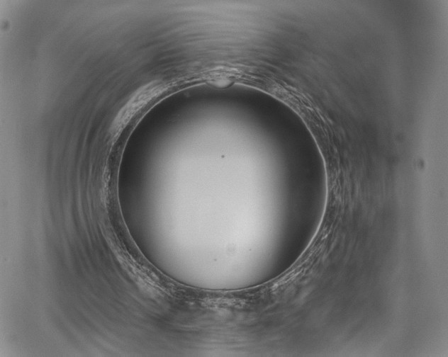 X0000067490242200604071211