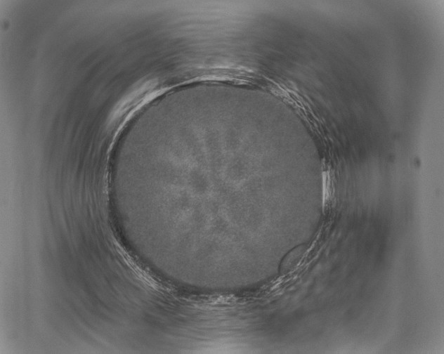 X0000067490243200604071211