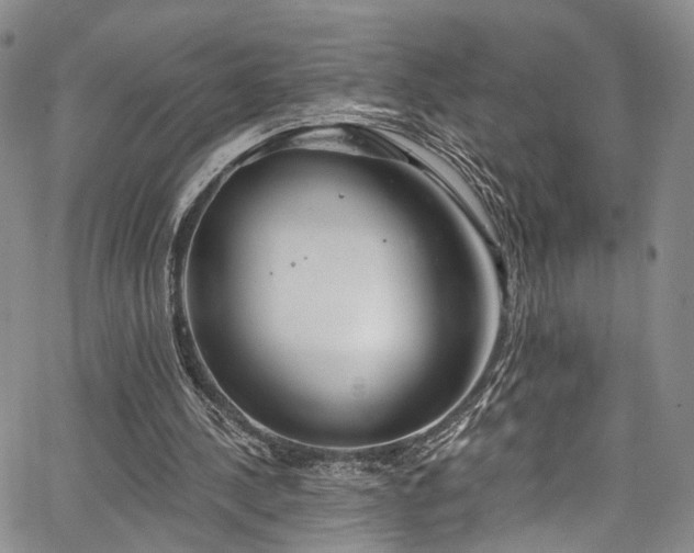 X0000067490244200604071211