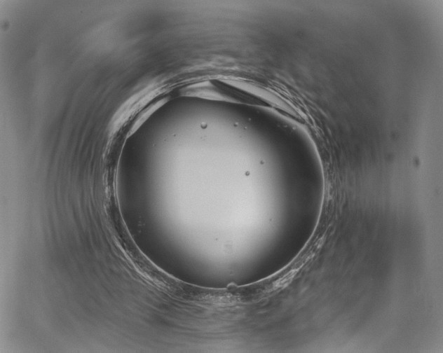 X0000067490245200604071211