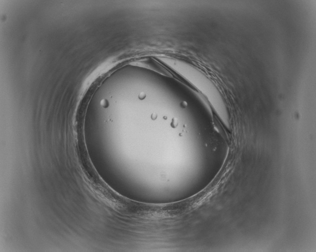 X0000067490246200604071211