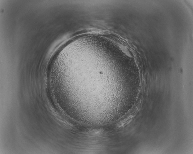 X0000067490247200604071211