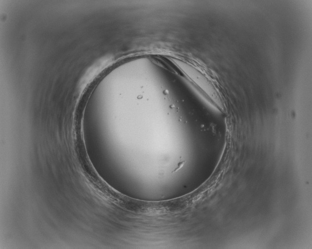 X0000067490248200604071211