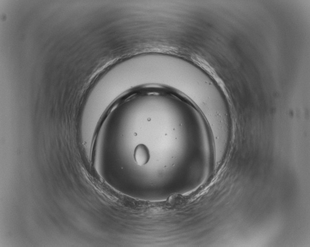 X0000067490249200604071211