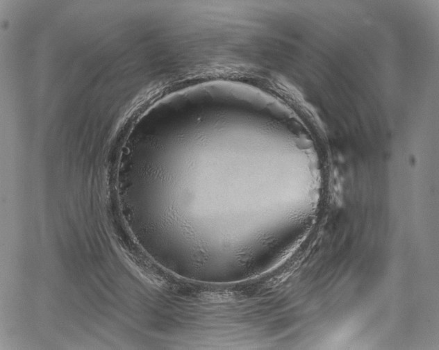 X0000067490250200604071211