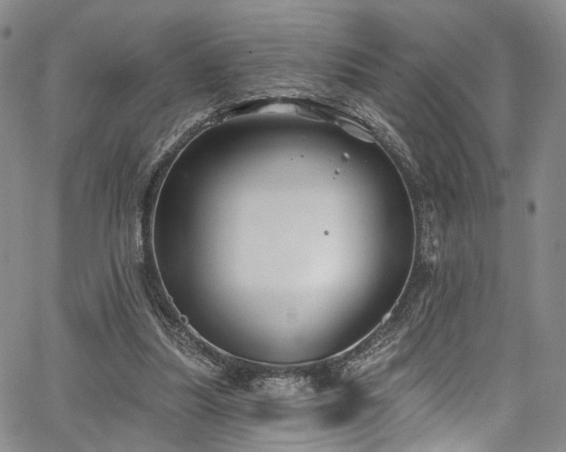 X0000067490251200604071211