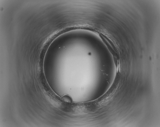 X0000067490252200604071211