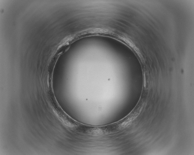 X0000067490253200604071211