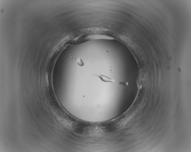 X0000067490254200604071211