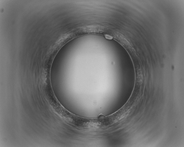 X0000067490255200604071211