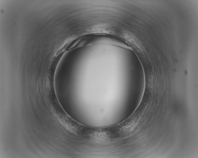 X0000067490256200604071211