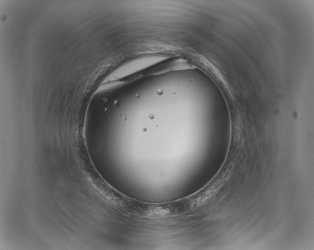 X0000067490257200604071211