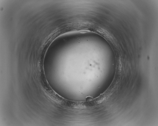 X0000067490258200604071211