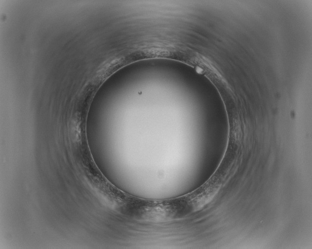 X0000067490259200604071211