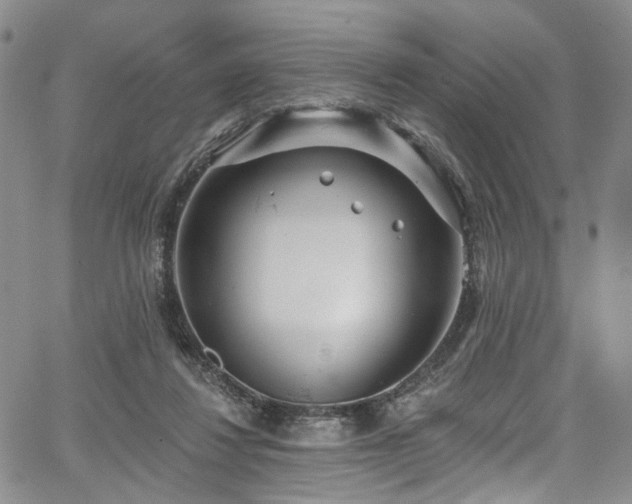 X0000067490260200604071211