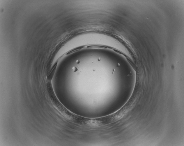 X0000067490261200604071211