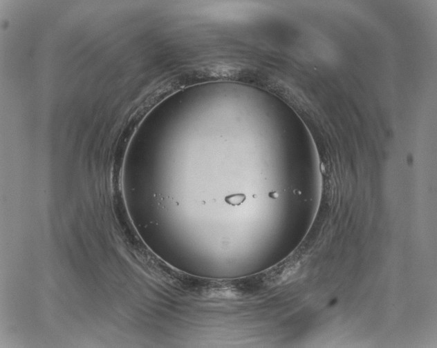 X0000067490262200604071211