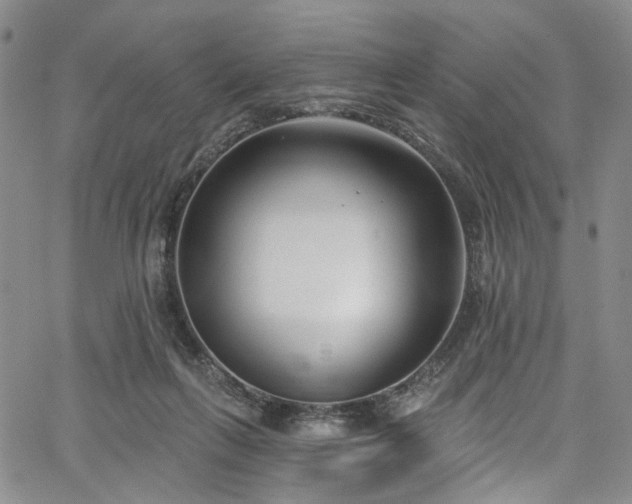 X0000067490263200604071211