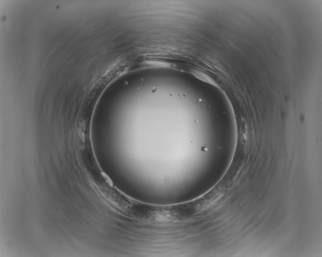 X0000067490264200604071211