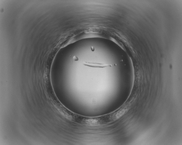 X0000067490265200604071211