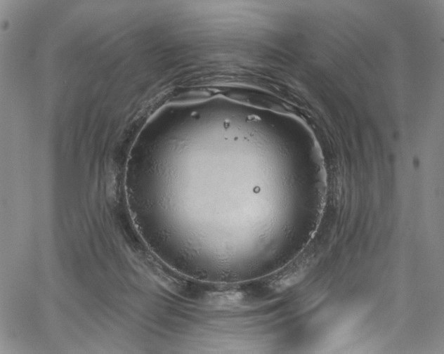 X0000067490266200604071211