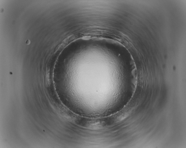 X0000067490267200604071211