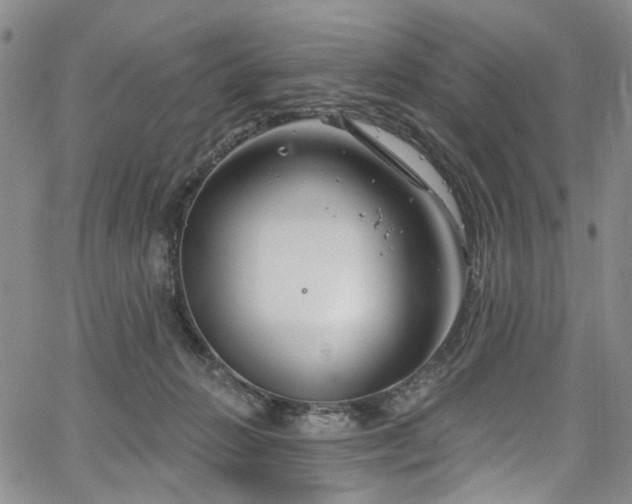 X0000067490270200604071211