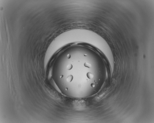 X0000067490271200604071211