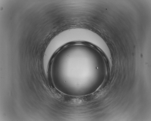 X0000067490272200604071211